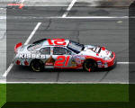 Kevin Harvick in Daytona