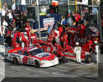 Dale Earnhardt Jr. and the Budweiser Chevrolet making a pit stop during the Daytona 500