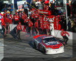 Dale Earnhardt Jr. and the Budweiser Chevrolet making a pit stop during the Daytona 500