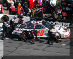 Harvick Pit Stop